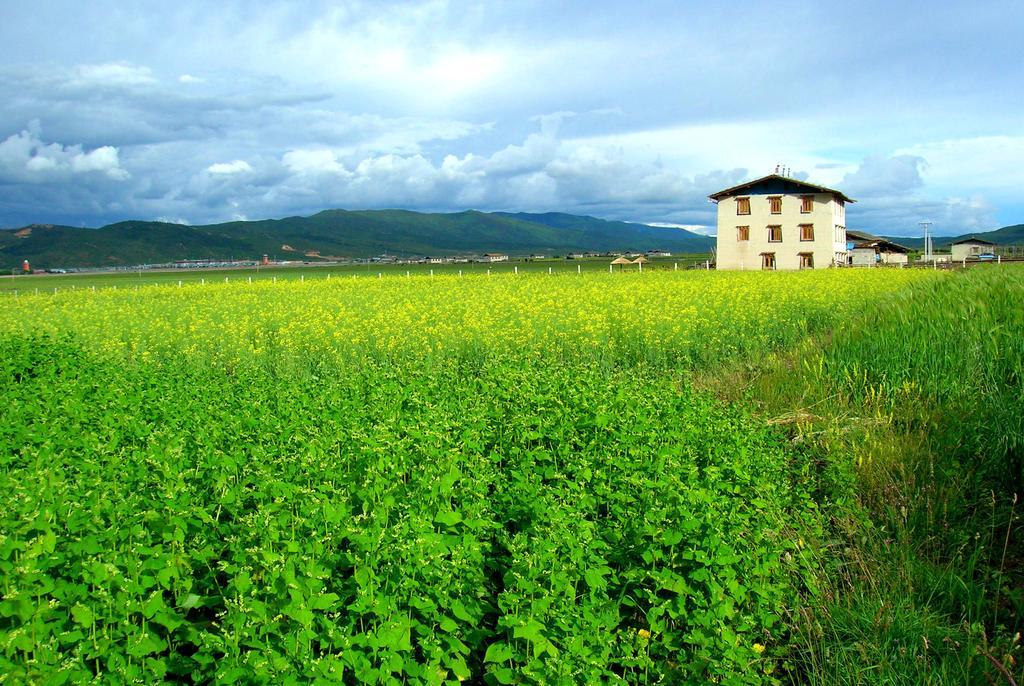 Shangri-La Lao Shay Youth Hostel Εξωτερικό φωτογραφία