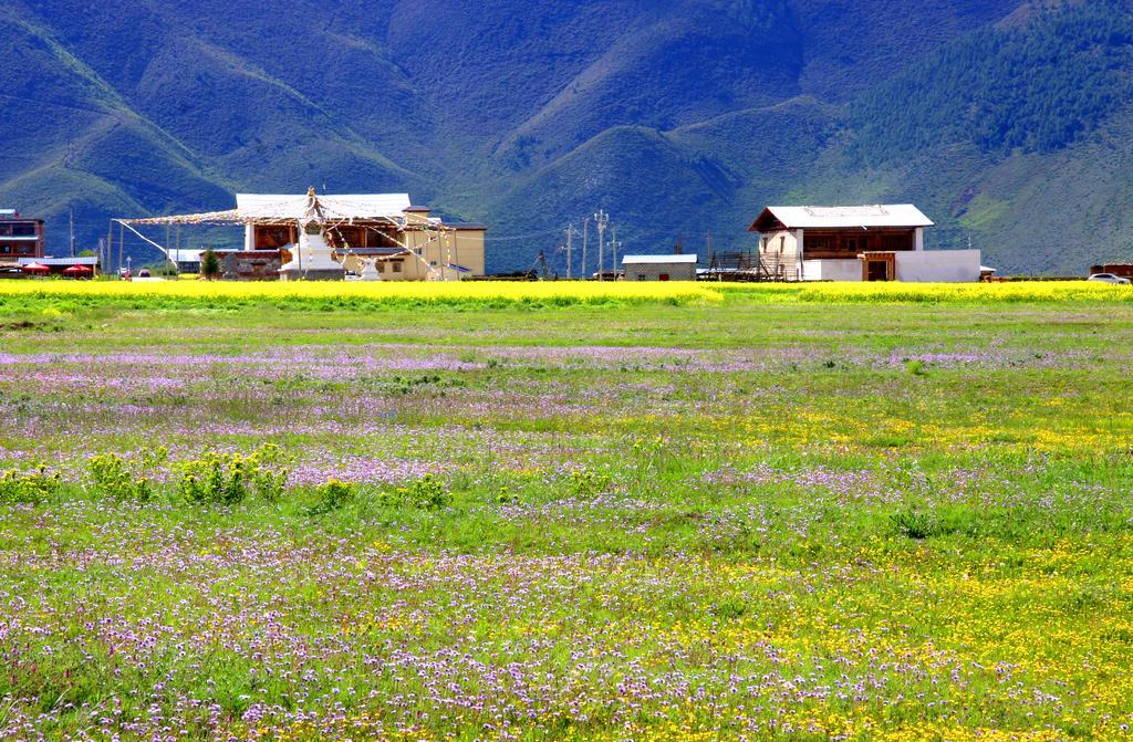 Shangri-La Lao Shay Youth Hostel Εξωτερικό φωτογραφία